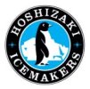 Hoshizaki IM-65NE-HC-Q Ball Ice Machine 